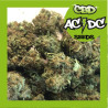 ACDC CBD