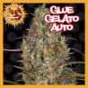 GLUE GELATO AUTO