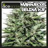 MARRUECOS BELDIA