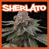 SHERLATO