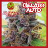 GELATO AUTO 