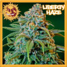 LIBERTY HAZE