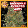 PINEAPPLE EXPRESS AUTO