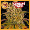 LEMON TREE