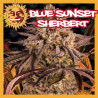 BLUE SUNSET SHERBET