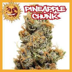 PINEAPPLE CHUNK
