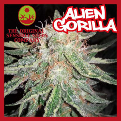 ALIEN GORILLA