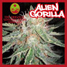 ALIEN GORILLA