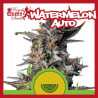 WATERMELON AUTO