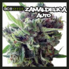 ZAMALDELICIA AUTO 
