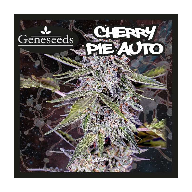 CHERRY PIE
