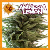AMNESIA LEMON