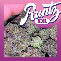 RUNTZ XXL