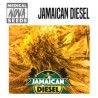 Jamaican Diesel - Medical Nova Seeds