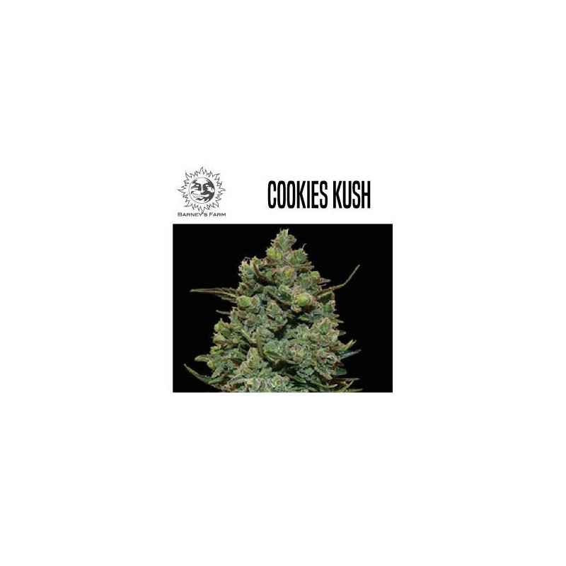 COOKIES KUSH