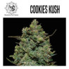 COOKIES KUSH