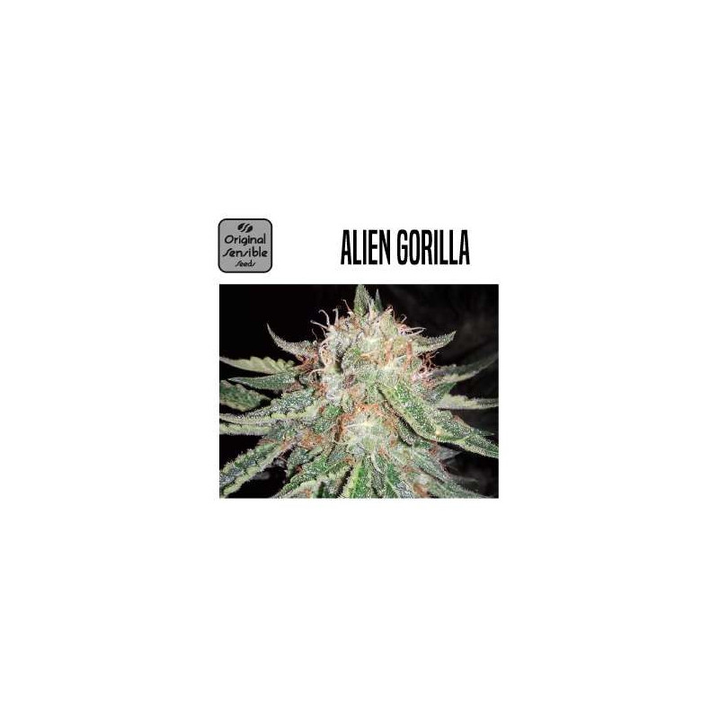 ALIEN GORILLA