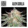 ALIEN GORILLA