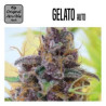 GELATO AUTO 