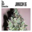 JAMAICAN OG