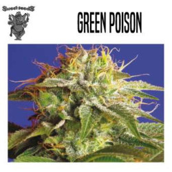 GREEN POISON