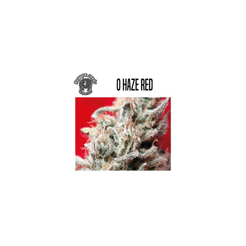 O HAZE RED