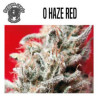 O HAZE RED