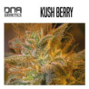Kushberry