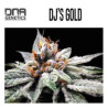 DJ'S GOLD