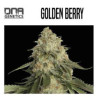 GOLDEN BERRY