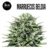MARRUECOS BELDIA