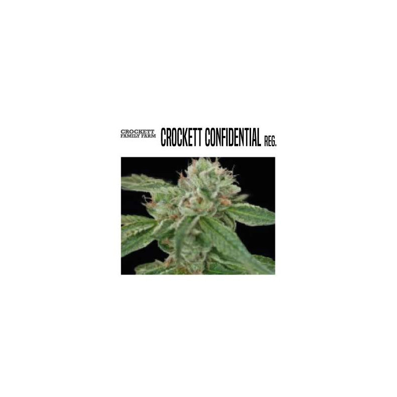 CROCKETT'S CONFIDENTIAL - Regular