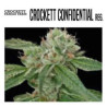 CROCKETT'S CONFIDENTIAL - Regular