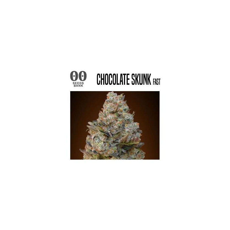 CHOCOLATE SKUNK 