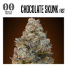 CHOCOLATE SKUNK 