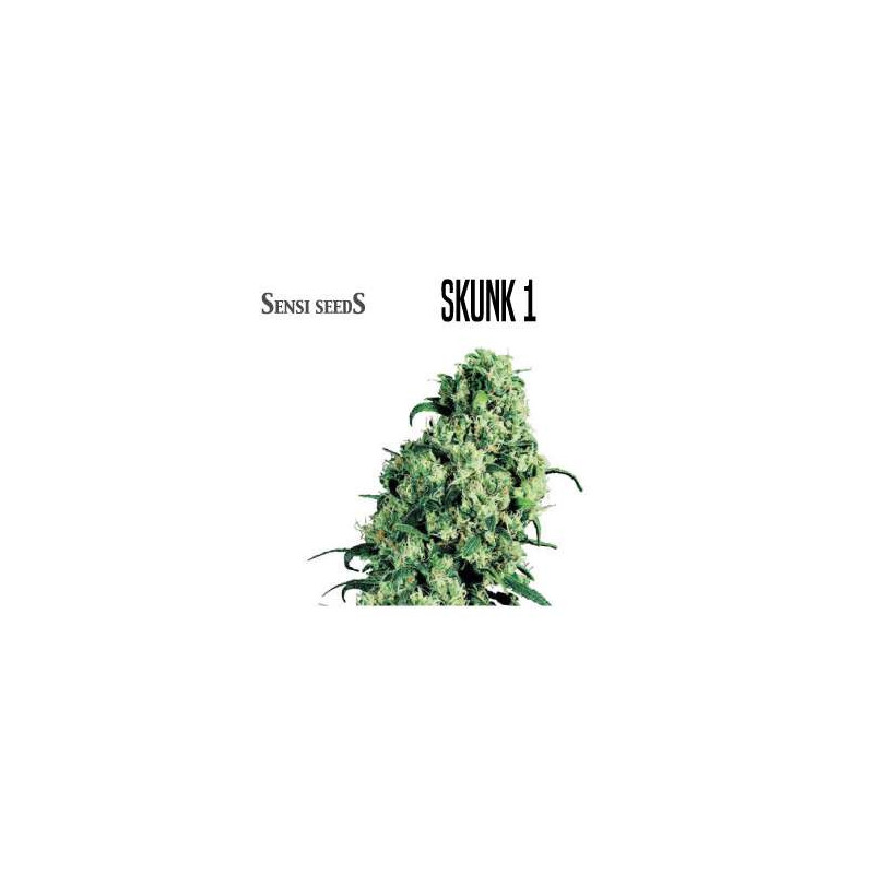 SKUNK  1