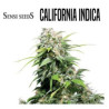 CALIFORNIA INDICA