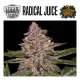 RADICAL JUICE