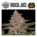 RADICAL JUICE
