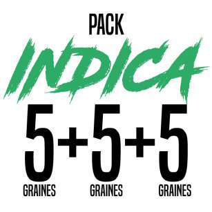 PACK INDICA 15 GRAINES