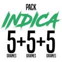 PACK INDICA 15 GRAINES
