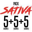 PACK SATIVA 15 GRAINES