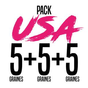 PACK USA 15 GRAINES