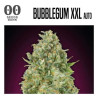 BUBBLE GUM AUTO XXL 00