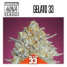 PACK USA 15 GRAINES