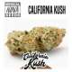 PACK INDICA 15 GRAINES