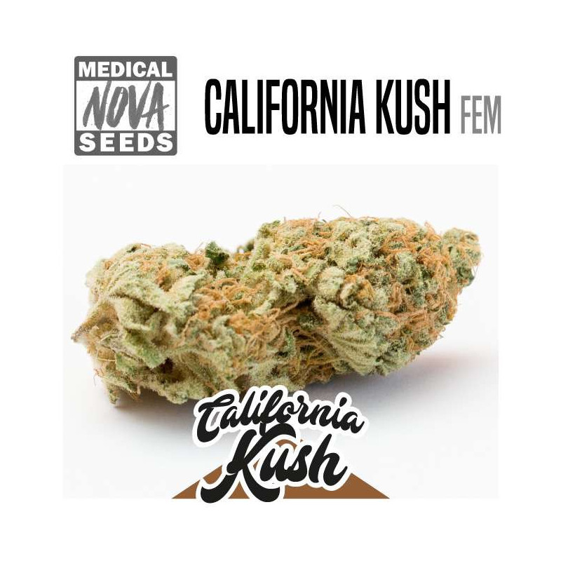 California Kush - Medical Nova seeds