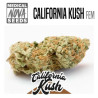 California Kush - Medical Nova seeds