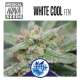 WHITE COOL