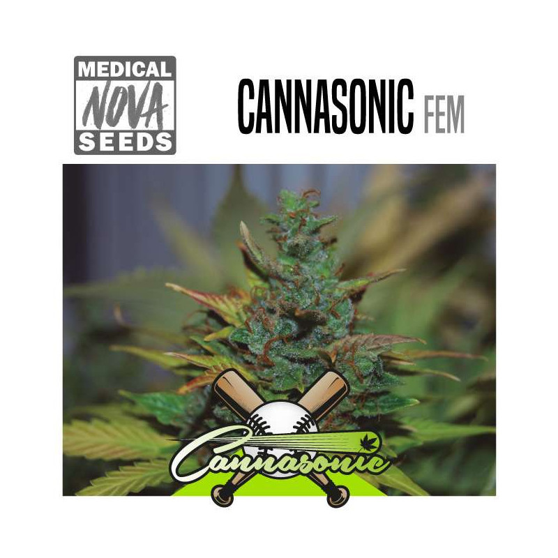 Cannasonic   Big Bud x Skunk - Medical Nova Seeds
